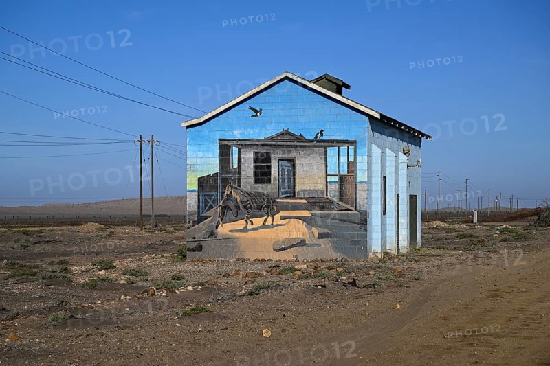 Painted house facade, graffito, brown hyena, diamonds, Oranjemund, Karas region, Namibia