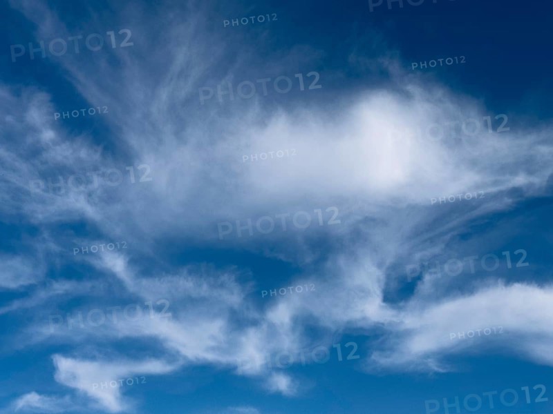 Feather clouds Veil clouds Fibrous cirrus clouds Cirrus clouds under a blue sky, international
