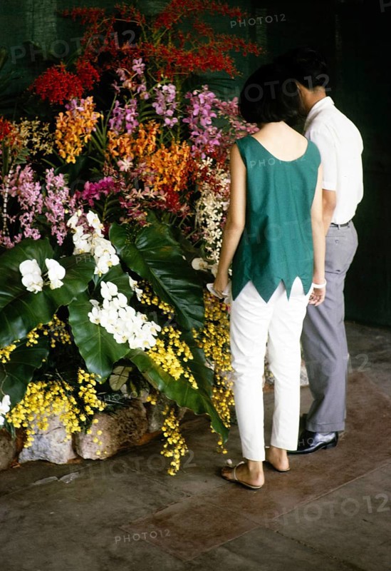 Vistors to the 1965 Orchid Show, Singapore Turf Club, Singapore, Southeast Asia, 1965