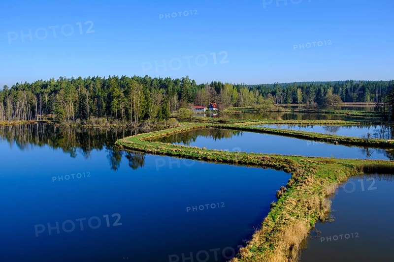 Tirschenreuther Teiche, Waldnaabaue, Große Teichpfanne, Vizinalradweg, near Tirschenreuth, Upper Palatinate, Bavaria, Germany