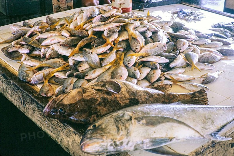 Fish for sale at retail fish market, East coast, Mersing, Johor, Malaya, Malaysia, south east Asia 1964