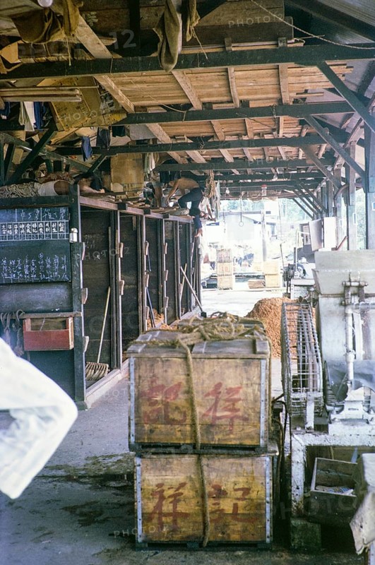 Siesta on the ice store ice at the fish market, East coast, Mersing, Johor, Malaya, Malaysia, south east Asia 1964