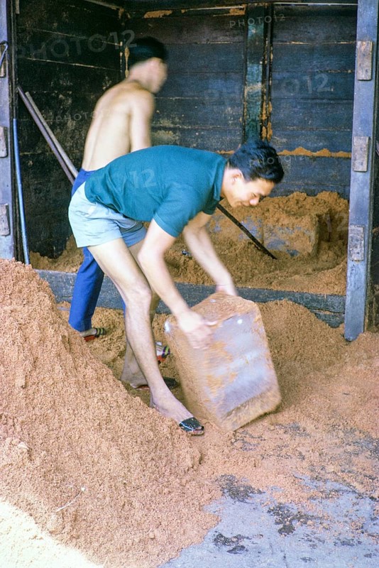 Unpacking ice stored in sand at fish market, East coast, Mersing, Johor, Malaya, Malaysia, south east Asia 1964