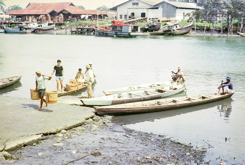 Canoes bringing fish to market, ice and fish packing factories, East coast, Mersing, Johor, Malaya, Malaysia, south east Asia 1964