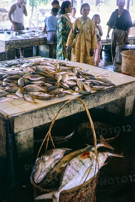Fish for sale at retail fish market, East coast, Mersing, Johor, Malaya, Malaysia, south east Asia 1964