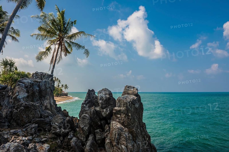 Rocks and coconut palms, Coconut Palm Beach, Sala Dan, Ko Lanta, Koh Lanta, Krabi Province, Southern Thailand, Andaman Sea, Thailand