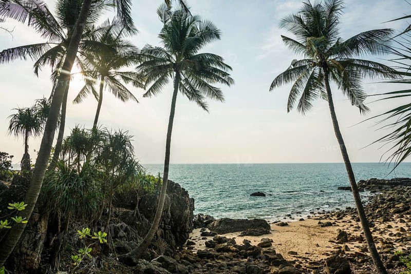 Sandy beach beach and coconut palms, Tricky-Trocky Beach, Sala Dan, Ko Lanta, Koh Lanta, Krabi Province, Southern Thailand, Andaman Sea, Thailand