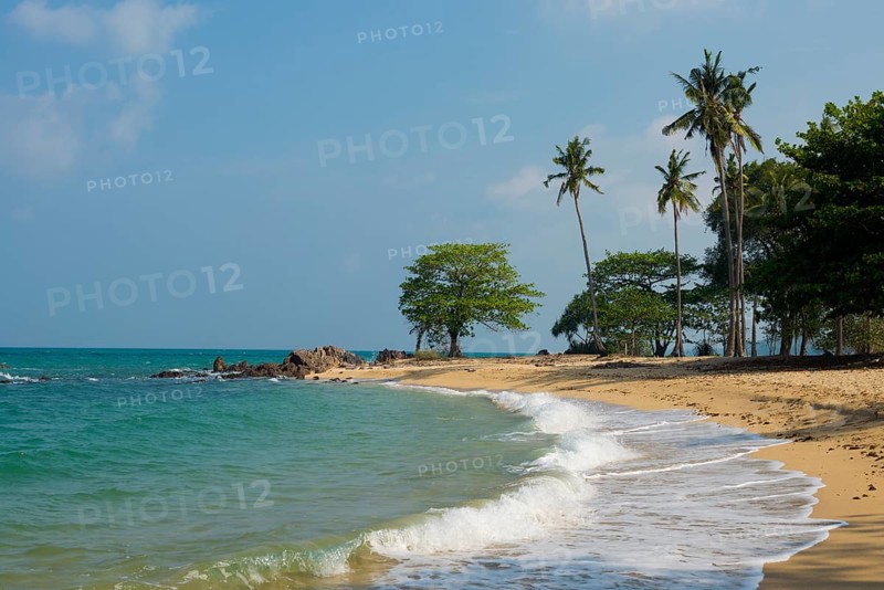 Sandy beach beach and coconut palms, Secret Beach, Sala Dan, Ko Lanta, Koh Lanta, Krabi Province, Southern Thailand, Andaman Sea, Thailand