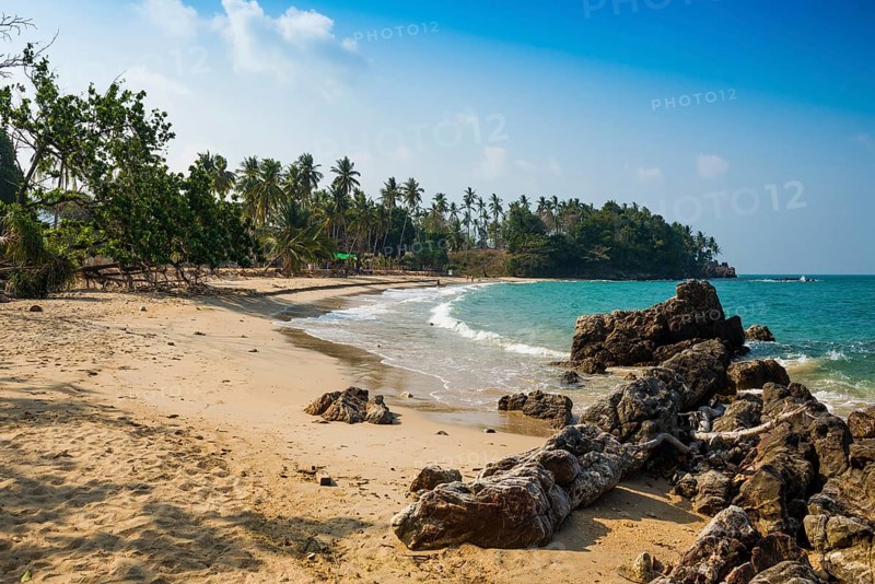 Sandy beach beach and coconut palms, Beautiful Beach, Sala Dan, Ko Lanta, Koh Lanta, Krabi Province, Southern Thailand, Andaman Sea, Thailand