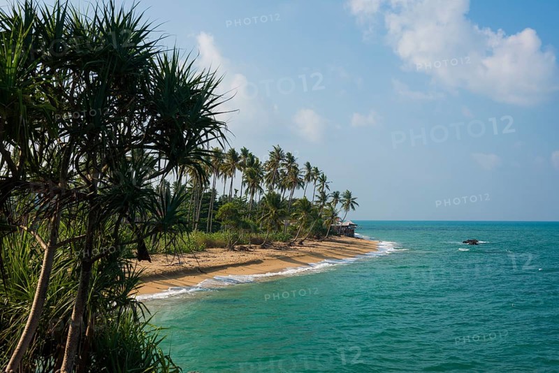 Sandy beach beach and coconut palms, Coconut Palm Beach, Sala Dan, Ko Lanta, Koh Lanta, Krabi Province, Southern Thailand, Andaman Sea, Thailand