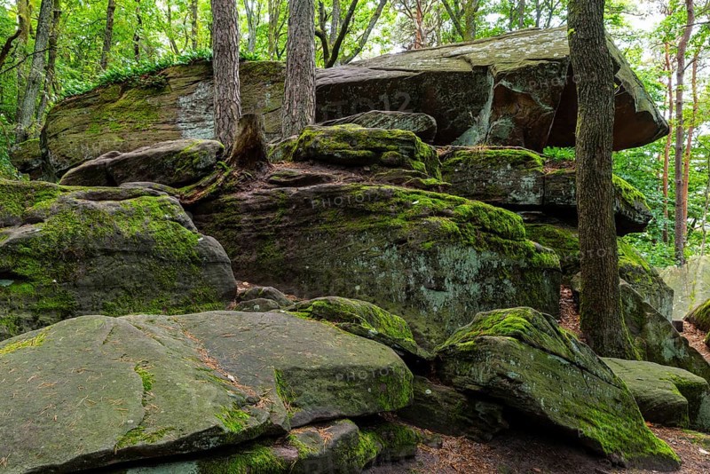 Boulders in the forest, red sandstone, sea of rocks, Kalmit, Maikammer, Pfläzerwald, Rhineland-Palatinate, Germany