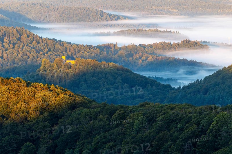 View over the Palatinate Forest, mixed forest, dawn, fog, Luipoldsturm, Hermansbergdorf, Pfläzerwald, Rhineland-Palatinate, Germany