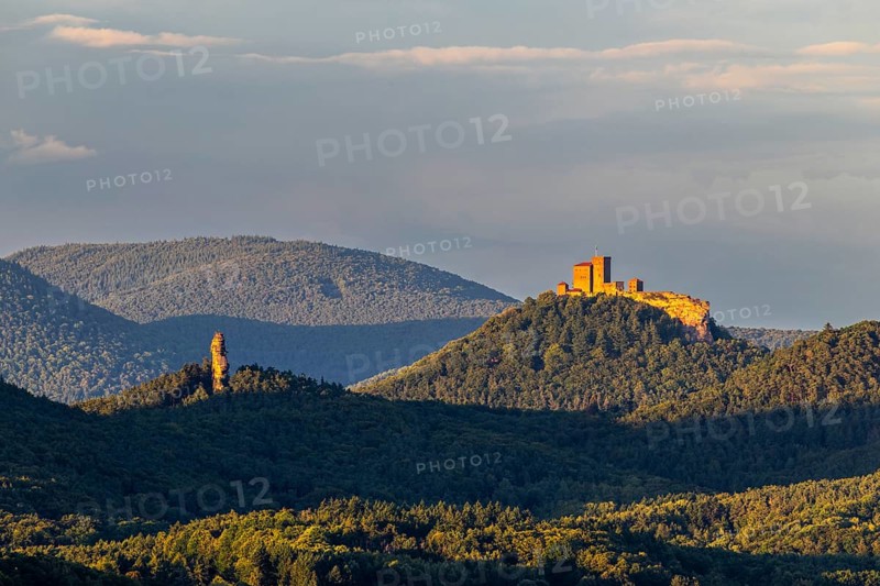 View of Trifels Castle and Anebos Castle, mixed forest, Annweiler, Pfläzerwald, Rhineland-Palatinate, Germany