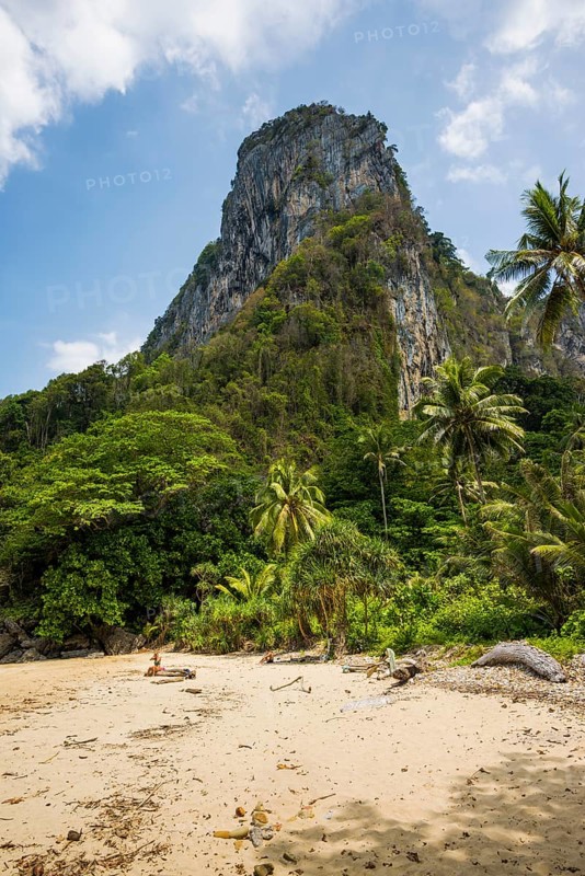White sandy beach and coconut palms, Sabai Beach, Koh Mook, Trang Province, Southern Thailand, Andaman Sea, Thailand