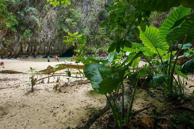 Sandy beach beach with cave in the rainforest, Emerald Cave, Koh Mook, Trang Province, Southern Thailand, Andaman Sea, Thailand