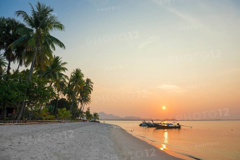 White sandy beach and coconut palms, sunset, Pearl Beach, Koh Mook, Trang Province, Southern Thailand, Andaman Sea, Thailand