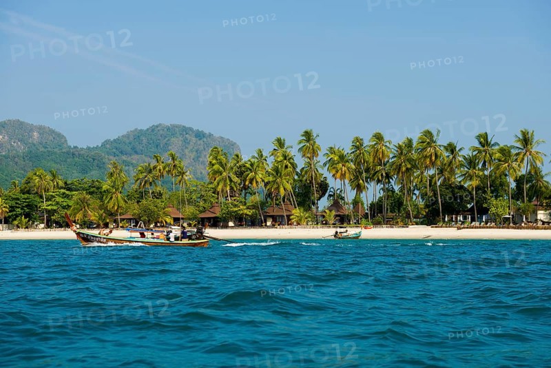 White sandy beach and coconut palms, Pearl Beach, Koh Mook, Trang Province, Southern Thailand, Andaman Sea, Thailand