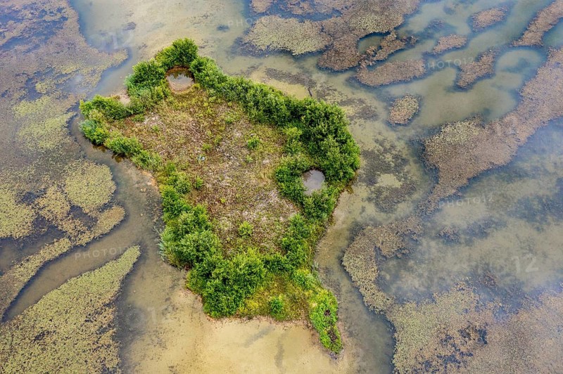 Aerial view, islands in the Drau, river, Brenndorf bird sanctuary, Carinthia, Austria