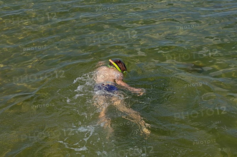 Little boy snorkelling in the sea, Kiel Fjord, Falckenstein, Kiel, Schleswig-Holstein, Germany
