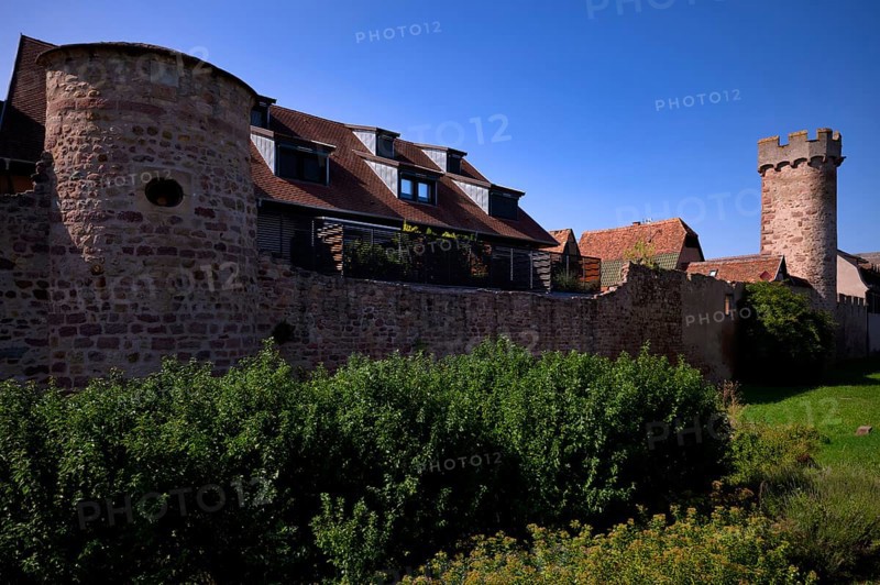 Historic city wall, defence defence tower, old town, Obernai, also Oberehnheim, Bas-Rhin, Grand-Est, Alsace, France