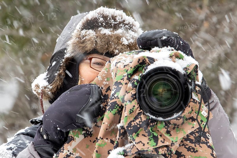 Photographer Veronique Amiard photographs the landscape in winter, Heavy snowfall, Gaspesie national park, Province of Quebec, Canada, North America