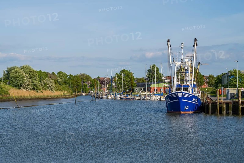 Fishing boats in the cutter harbour, outer harbour, Husum, North Frisia, North Sea, Schleswig-Holstein, Germany