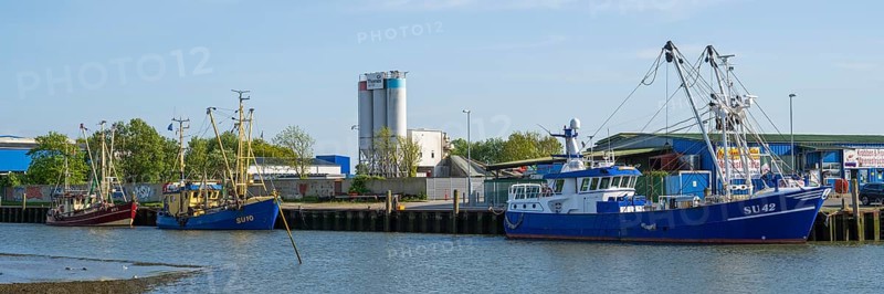 Fishing boats in the cutter harbour, outer harbour, panorama format, Husum, North Frisia, North Sea, Schleswig-Holstein, Germany