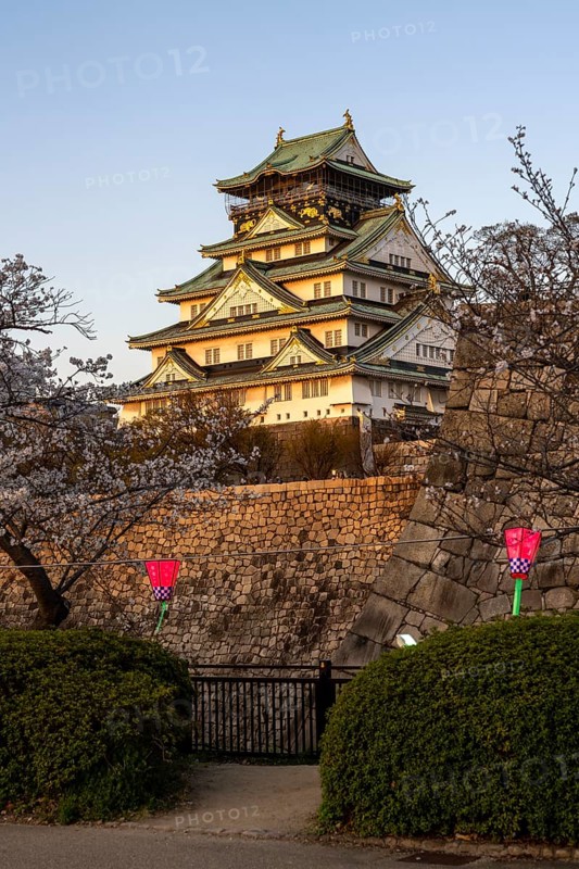 Osaka Castle, at dusk, cherry trees in bloom, Chuo-ku, Osaka, Osaka Prefecture, Japan