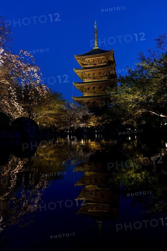 To-ji Temple reflected in the water of Toji Hyotan-ike Pond, blue hour, dusk, Minami-ku, Kyoto, Kyoto Prefecture, Japan