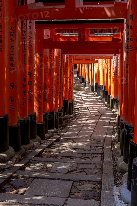 Torii Way in Fushimi Inari-Taisha, Fushimi-ku, Kyoto, Kyoto Prefecture, Japan