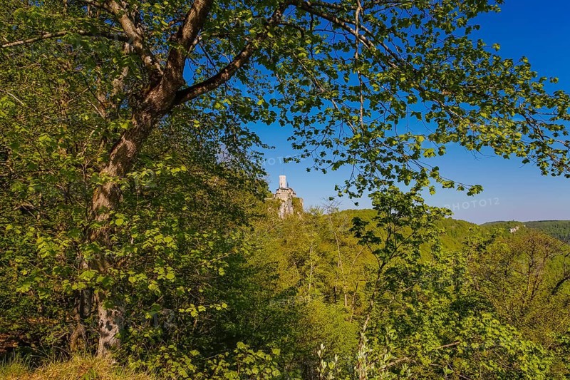 Lichtenstein Castle, fairytale castle of Württemberg, romantic fairytale castle on the eaves of the Swabian Alb, historicism, architecture, new building 1840-1842, according to plans by architect Carl Alexander Heideloff, 19th century, Honau, municipality of Lichtenstein, Baden-Württemberg, Germany
