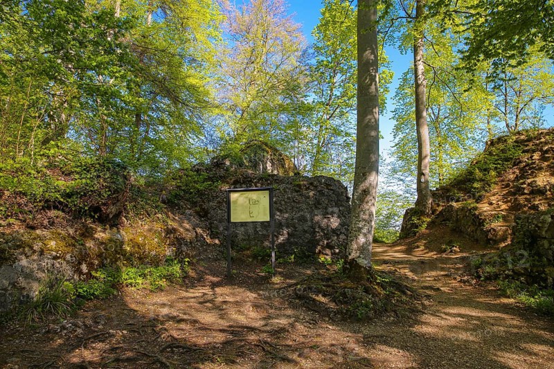 Ruin Alter Lichtenstein near Lichtenstein Castle, information board, site plan of the ruin, layout, eaves of the Swabian Alb, trees, deciduous forest, Honau, municipality of Lichtenstein, Baden-Württemberg, Germany