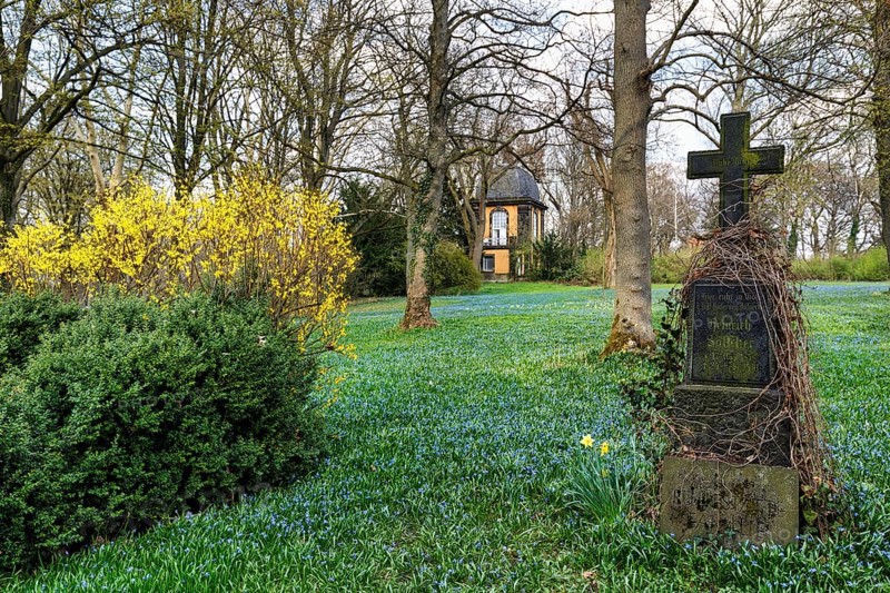 Scilla, blue stars in a meadow, gravestone, Lindener Bergfriedhof with kitchen garden pavilion, listed building, Lindener Berg, Linden, Hanover, Lower Saxony, Germany