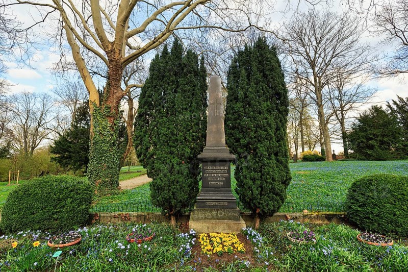 Scilla, blue stars in a meadow, gravestone, Lindener Bergfriedhof, monument protection, Lindener Berg, Linden, Hanover, Lower Saxony, Germany
