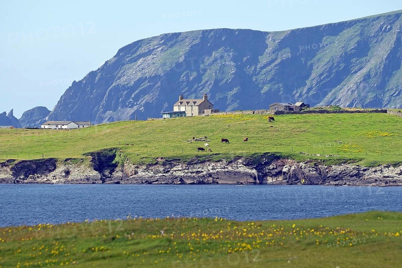 Green meadows and houses in front of a dramatic rocky coastline by the sea, Sumburgh Head, Shetland Islands, Scotland, United Kingdom