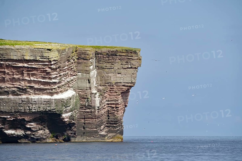 High cliff above the blue sea under a clear sky, Noss, Shetland Islands, Scotland, United Kingdom