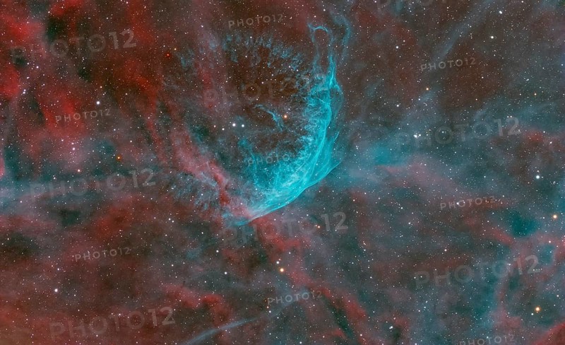 WR134, a variable Wolf-Rayet star in the constellation Swan