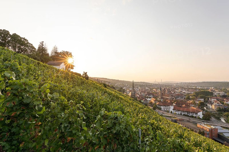 Sunrise over the vineyards of Esslingen am Neckar