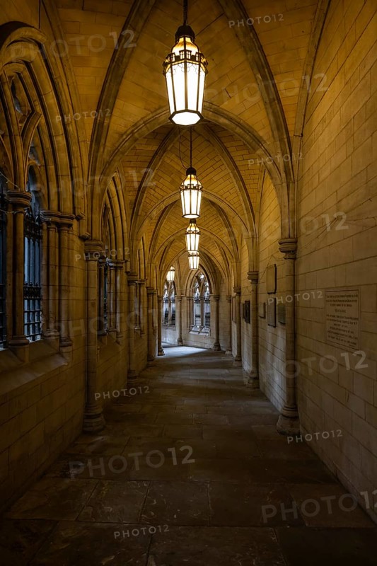 Illuminated neo-Gothic archway, St Mary Abbot Church, Kensington, London, England, Great Britain