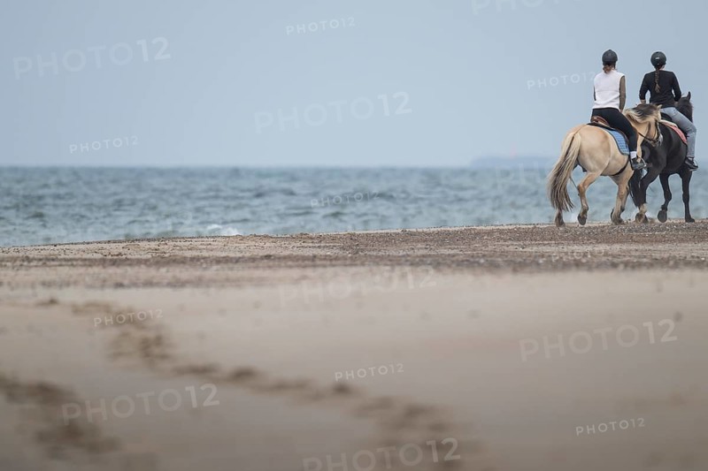 Two riders on the beach, near Hvide Sande, North Sea, Denmark
