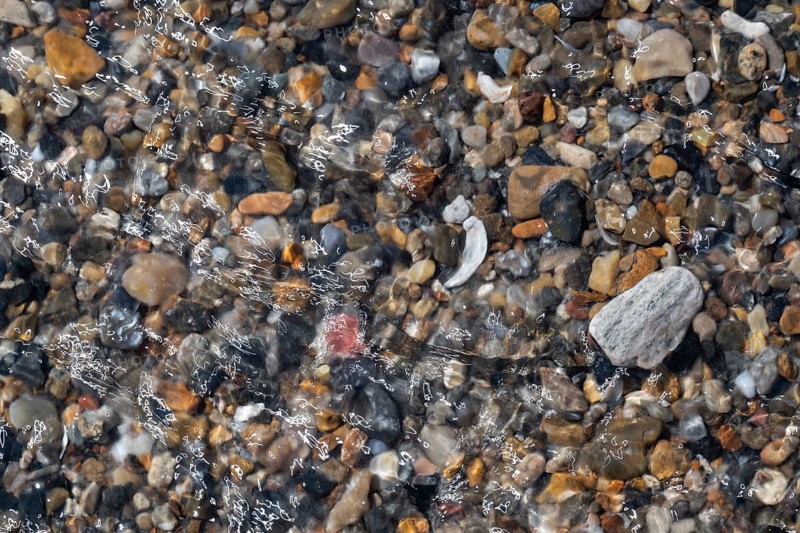 Colourful, smooth pebbles under a clear water surface, North Sea, Denmark