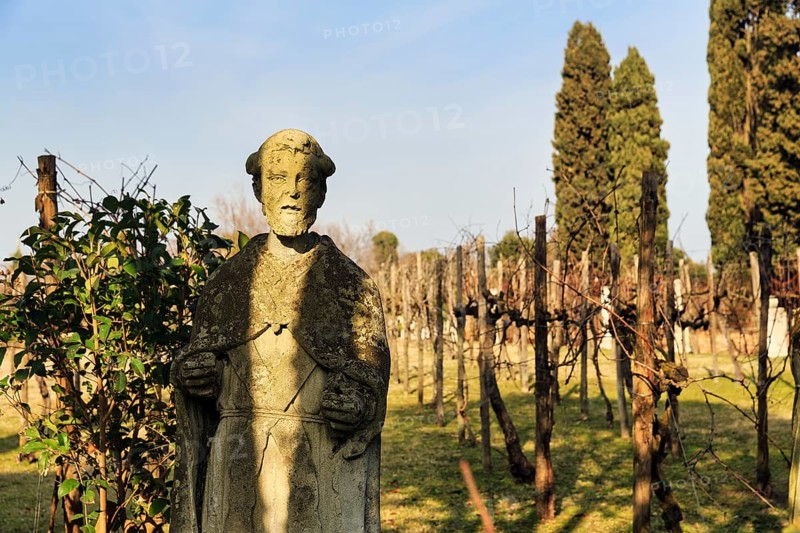 Weathered stone statue in the vineyard, Torcello Island, Venice Lagoon, Veneto, Italy