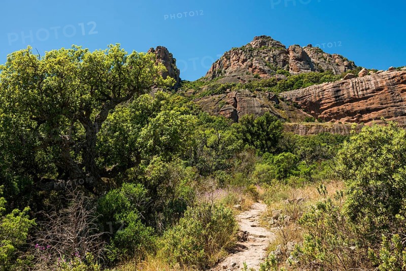 Rocher du roquebrune, Roquebrune-sur-Argens, near Saint-Raphaël, Massif de l'Esterel, Esterel Mountains, Département Var, Cote d'Azur, Provence-Alpes-Côte d'Azur, France