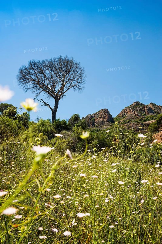 Rocher du roquebrune, Roquebrune-sur-Argens, near Saint-Raphaël, Massif de l'Esterel, Esterel Mountains, Département Var, Cote d'Azur, Provence-Alpes-Côte d'Azur, France