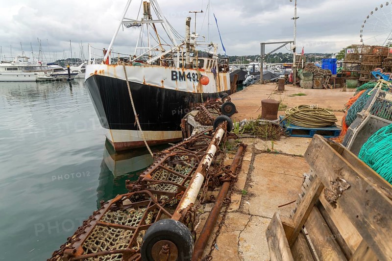 FV Mary Anne BM482 fishing vessel boat in harbour, Torquay, Devon, England, UK