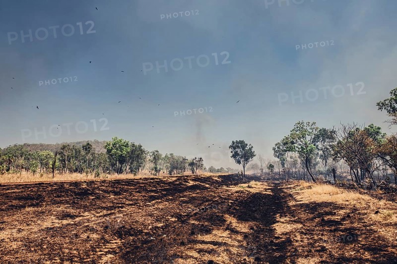 Bushfires in the Australian outback