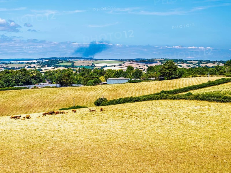 DefaultFarms and Fields over Torquay from a drone, Devon, England, United Kingdom