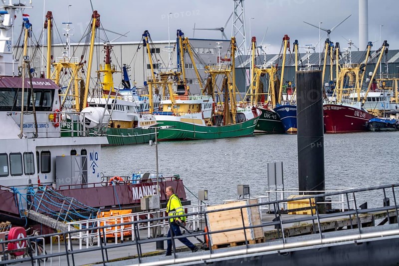 Fishing boats in Beatrixhaven, the seaport of Eemshaven, industrial harbour, at the quay, Netherlands