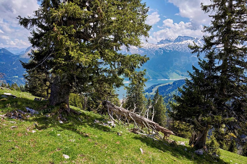 View of the snow-covered Alps and Lake Wägital, Canton Schwyz, Switzerland