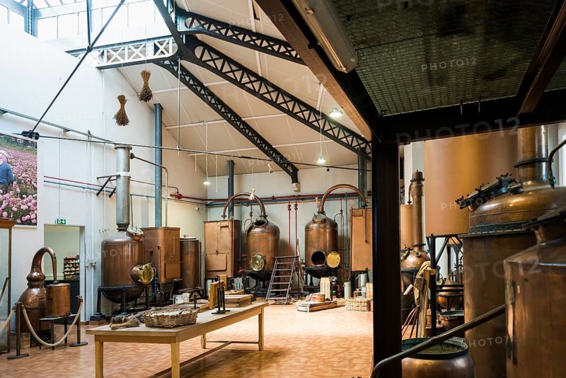 Interior view, Perfumery Molinard, Perfume manufacturer, Grasse, Alpes Maritimes, Provence Alpes Cote d'Azur, French Riviera, South of France, France